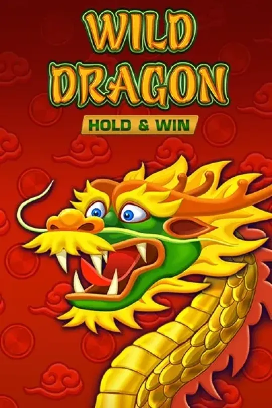 Wild Dragon HOLD & WIN Amatic
